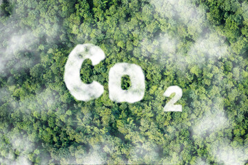 CO2 Clouds. oxygen O2 and carbon dioxide CO2 molecules - Carbon dioxide absorption and oxygen...