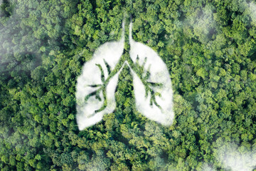 A conceptual image showing a lung-Cloud  in a lush and pristine jungle.