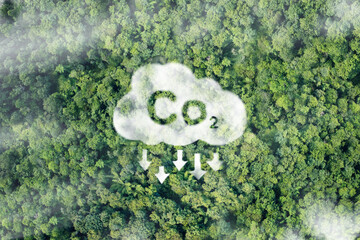 CO2 white fog, Concept depicting the issue of carbon dioxide emissions, global warming, sustainable...