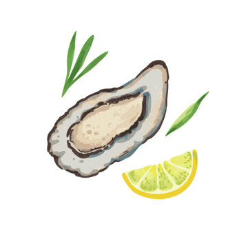 oyster shell, lemon, green herbs watercolor clip art preview