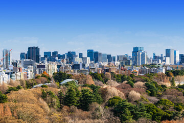 Obraz premium 東京 青空と都市風景