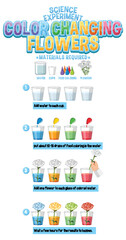 Color Changing Flowers Science Experiment