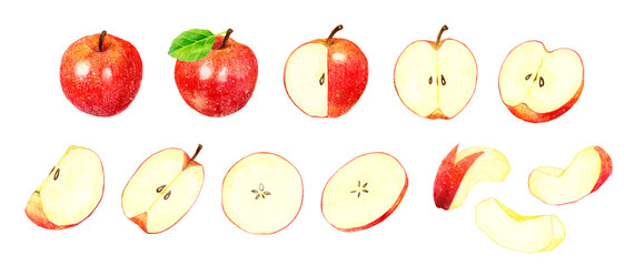 赤いりんごのセット　フルーツの手描き水彩イラスト素材集