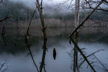 Fototapeta premium 長野県王滝村 初冬の自然湖