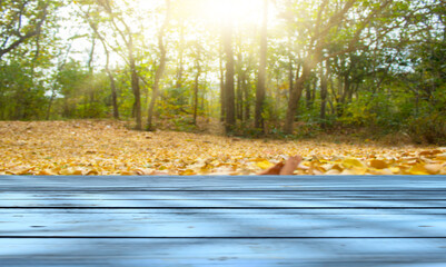 Wooden table on blur dry grass and natural forest interior for product background image.