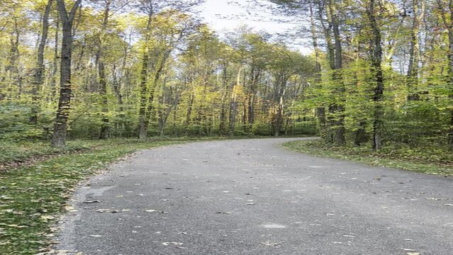 Paved walking trail at a local nature park