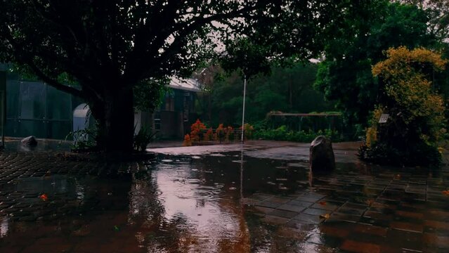 very quiet silent spooky athmosphere of public park kebun raya purwodadi jawa timur when mild rain fall in the dawn evening