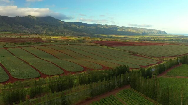 Aerial Shot Of Cars Moving On Road Under Clouds, Drone Flying Forward Over Agricultural Landscape - Oahu, Hawaii