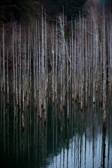 長野県王滝村　初冬の自然湖