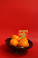 Celebration for Chinese New Year, Spring Festival, Year of the Rabbit