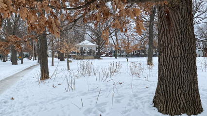gazebo in the park in winter