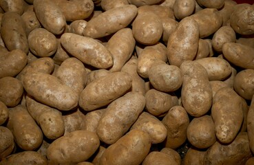 Fototapeta na wymiar pile of potatoes