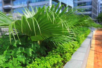 the Garden at hk  Science and Technology Parks