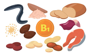 Vector illustration of foods containing vitamin B1.