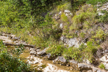 Fototapeta na wymiar mountain river- sources , beginning of autumn panoramic view , tourist routes and recreation in the mountains.*