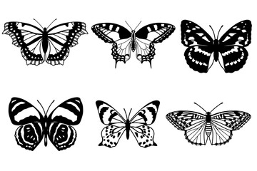 Realistic butterfly collection. Black colour butterflise on white background. Vector illustration.