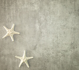 Fototapeta na wymiar Background with sea star shells with copy space.