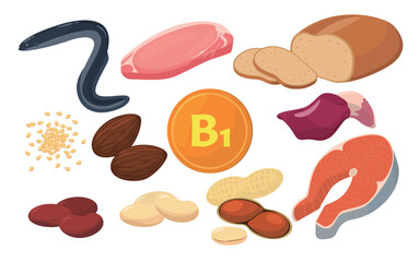 Vector illustration of foods containing vitamin B1.