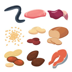 Vector illustration of foods containing vitamin B1.