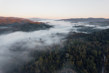 fog and morning light