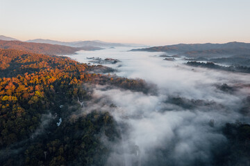 fog and morning light