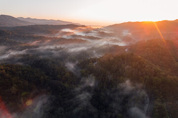 fog and morning light