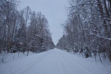 Winter road to the village of Patrakeevka, Arkhangelsk region.