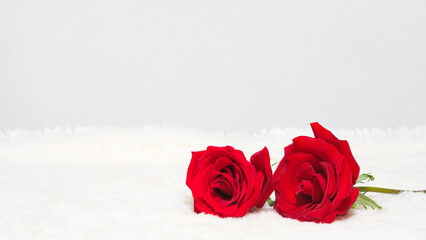 Valentine's day date 14 february. Background with red roses bouquet on white background. Greeting card template for Valentines Day. Copy space for text.