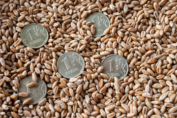 Grains of wheat and few Russian coins one ruble nominal. Closeup