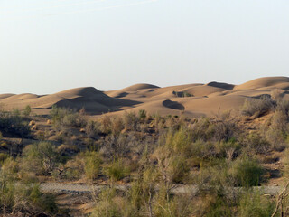 Desert Kizilkoum in Uzbekistan. Central Asia