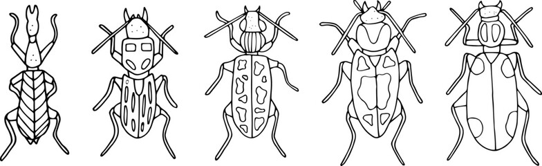 Beetles doodle icons set. Collection of sketches of different beetles. Hand drawn vector illustration. traced image.
