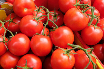 Tomatoes