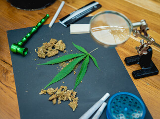 Joints and buds of medical cannabis and cigarettes on a wooden table