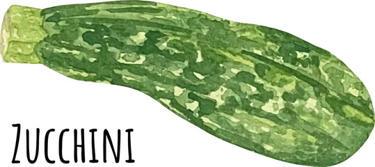 Watercolor illustration of green asparagus. Fresh raw vegetables. Asparagus lover illustration