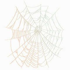 Obraz premium Vector outline illustration of a simple fancy Halloween spider web, isolated object on the white background, clipart useful for halloween party decoration, hand drawn image, cartoon spooky character.