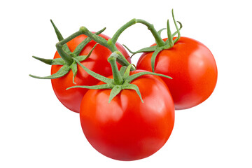 Tomato isolated on white background. With clipping path. Full depth of field. Focus stacking