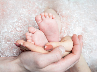 parents hold a newborn baby in their arms, close-up of the legs of a newborn baby,.