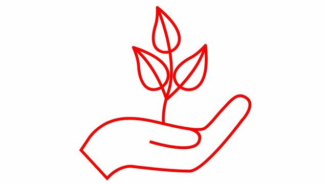 Linear ecology icon. Tree sprout in hand. The red symbol is drawn gradualaty. Looped video. Concept of ecology care, saving the nature, harvest. Vector illustration isolated on white background.