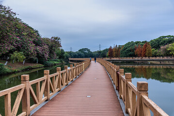 Fototapeta na wymiar Landscape of Dongguan Ecological Garden in south china. Wooden bridge over lake in the park. Leaves of bald cypress turn copper red in winter. 