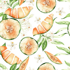 Melon, seamless patterns on a white background, watercolor illustration