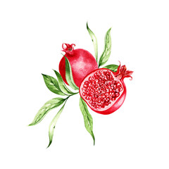 Watercolor pomegranate  fruits on white background.