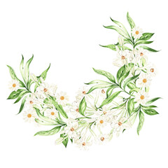 Tropical leaves, flowers,  wreath on white background, watercolor illustration