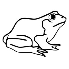 Frog Creative Design