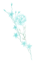 Fototapeta na wymiar Isolated softness teal blue floral design elements. Light blue big flower with leaves and blue small flowers on white background. Watercolor painting softness flowers with leaves.