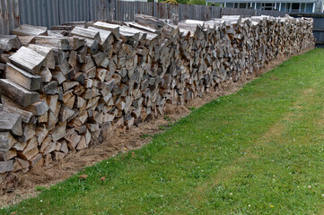 Dry firewood is stacked along a fence, ready for winter