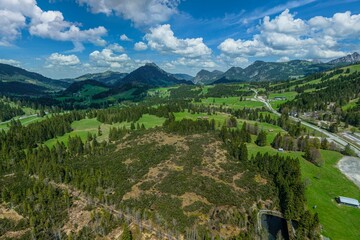 Fototapeta na wymiar Ausblick auf das Kematsried-Moos am Oberjoch im bayerischen Allgäu