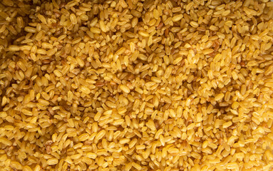 dry amber grains of bulgur close-up top view. raw uncooked bulgur macro photo