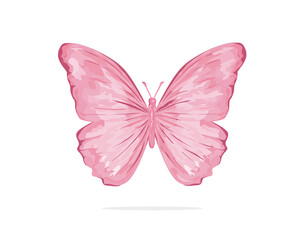 pink watercolor butterfly design 