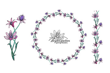 set of pink flowers. Wreath. Bouquet. Spring flowers spring