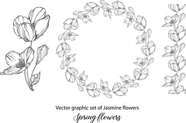 A set of graphic flower compositions with Jasmine flowers. Jasmine. wedding, scrapbooking
